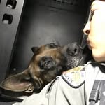 Adrienne Ames - @yamahafitchic129 - Instagram