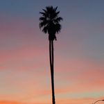 Adrienne Arnold - @aparnold1016 - Instagram