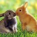 Adrienne Ault - Facebook