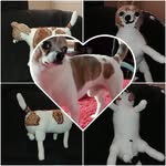 Adrienne Barrow - @handmadeby80 - Instagram