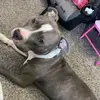 faith - @adriennebattles - TikTok