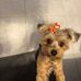 Adrienne Bernstein - Facebook