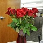 Adrienne Bryant - @adrienne.bryant.792 - Instagram