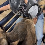 adrienne Rae curtis - @adriennebucksbulls - Instagram