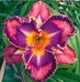 Adrienne Carson - Facebook