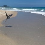 Adrienne Carson Arp - @aarp1027 - Instagram
