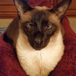Adrienne Churchill - @adriennechurchill1956 - Instagram