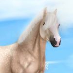 @adriennecloudburn - Instagram