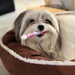Adrienne Cole - @littlebuddybeau - Instagram