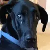 adriennecorbin - @adriennecorbin - TikTok