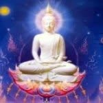 Adrienne Andrews - @adrienneandrews2 - Instagram