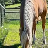 Adrienne Merck Lowry - @adrienne.merck.lo - TikTok