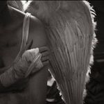 Adrienne McGrath - @witches.n.warlocks - Instagram