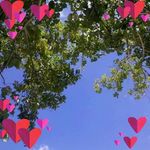 Adrienne McGrath Pooley - @adrienne_pooley - Instagram