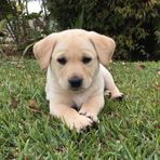 Adrienne Oliver - Facebook