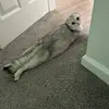 adrienneoliver763 - @adrienneoliver763 - TikTok
