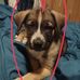Adrienne O'neal - Facebook