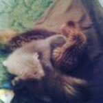 adrienne o'neal - @aspergon71 - Instagram