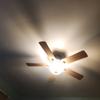 Adrienne_rees - @adrienne_rees - TikTok