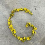Adrienne Richardson - @richardsons_lab_report - Instagram