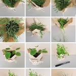 adrienne rush - @theleafmerchant - Instagram