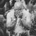 Kobay Adrienne Ruth Noble - Facebook