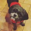 adriennesilver73 - @adriennesilver73 - TikTok