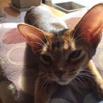 Adrienne Ward - @adrienne.ward.71 - Instagram