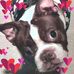 Adrienne Whitney - Facebook