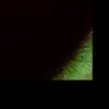 aaronfsfhot - @aaron.samuels04 - TikTok