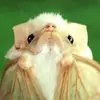 masteraero8 - @masteraero8 - TikTok