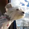Master.aero - @master.aero - TikTok