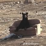 Aeron Brown - @wizrd0324 - Instagram