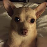 Ae Sook Lee - @lee.aesook - Instagram