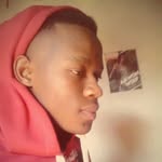 Bobo - @bobo_aka_aewon_wolf_ - Instagram