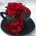Afaf Mahmoud - @afaf.mahmoud_abdrabou - Instagram