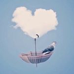 عفـاف ✨. - @afaf_abdullah_ - Instagram