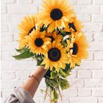 Afaf Abdullah - @afaf_1290 - Instagram