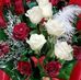 Afaf Adam - Facebook