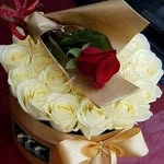 Afaf Adam - @afaf.adam.758 - Instagram