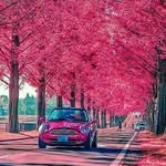 Afaf Alami - @afafealami - Instagram