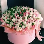 Afaf Aly - @alyafaf - Instagram