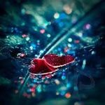 Afaf - @afafdaoudi7 - Instagram
