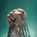 Afaf Hamed - Facebook