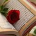 Afaf Hamed - Facebook