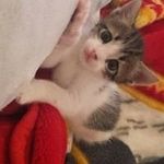 Afaf Malak - @malakafaf - Instagram