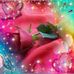 Afaf Malak - Facebook