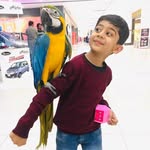 Muhammad Afaf - @afaf_mirza16 - Instagram