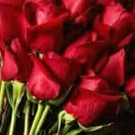 Afaf Mohamed - @afaf.mohamed51 - Instagram