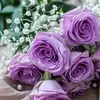 Afaf Mohamed - @afaf.mohamed79 - TikTok
